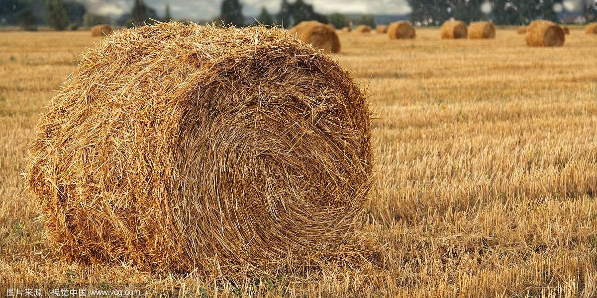 【力美新材料】秸稈家具，秸稈塑料，還有多長(zhǎng)的路要走？