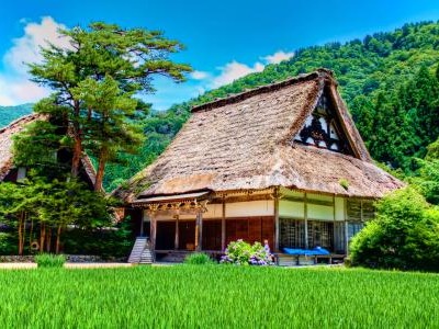 【力美新材料】可降解塑料市場需求增長迅速 有望實現產業化