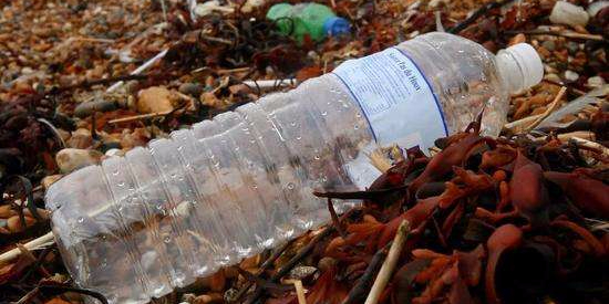 【力美新材料】塑料回收新突破！研究人員意外發現可降解塑料酶