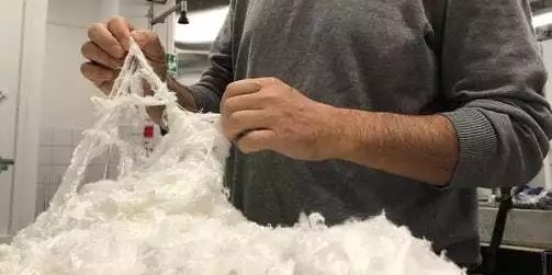 【力美新材料】Nanollose：微生物纖維素可變廢為寶成為環保織物