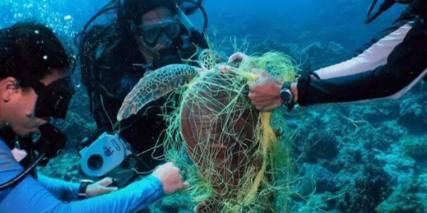 【力美新材料】廢棄塑料循環之路，還有多遠?