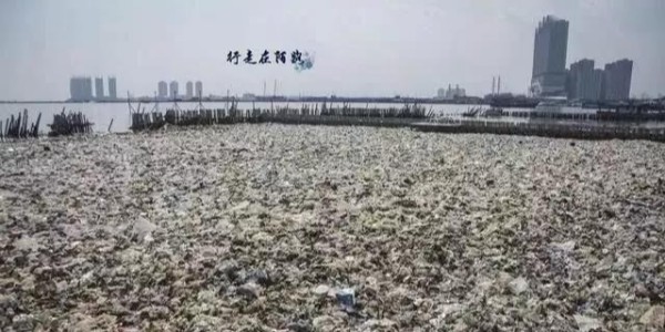 【力美新材料】清潔家園，和力美一起塑戰塑決