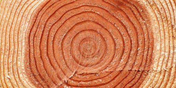 塑木復(fù)合材料技術(shù)解答