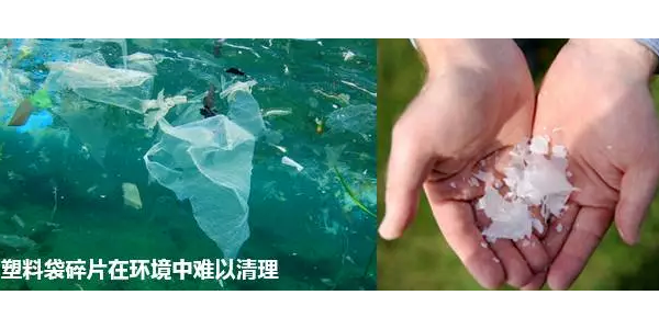 “真假可降解塑料袋”要如何辨別？